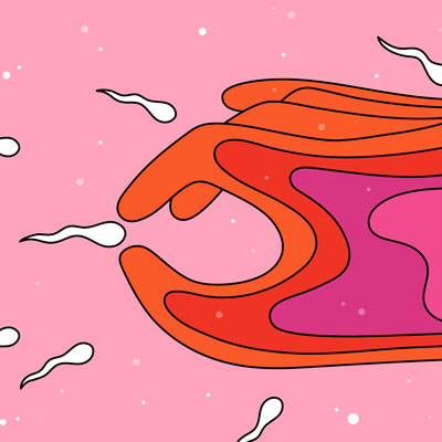 During fertilization, eggs may play an unexpected role in choosing which sperm offer the best genetic match.