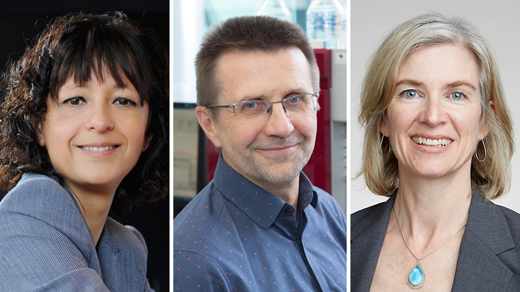 Photo of Emmanuelle Charpentier, Virginijus Šikšnys, Jennifer Doudna