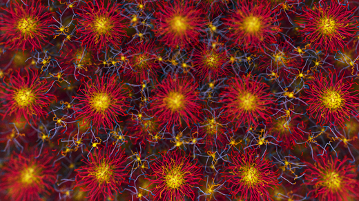 A view of nanoparticles in a crystalline pattern.