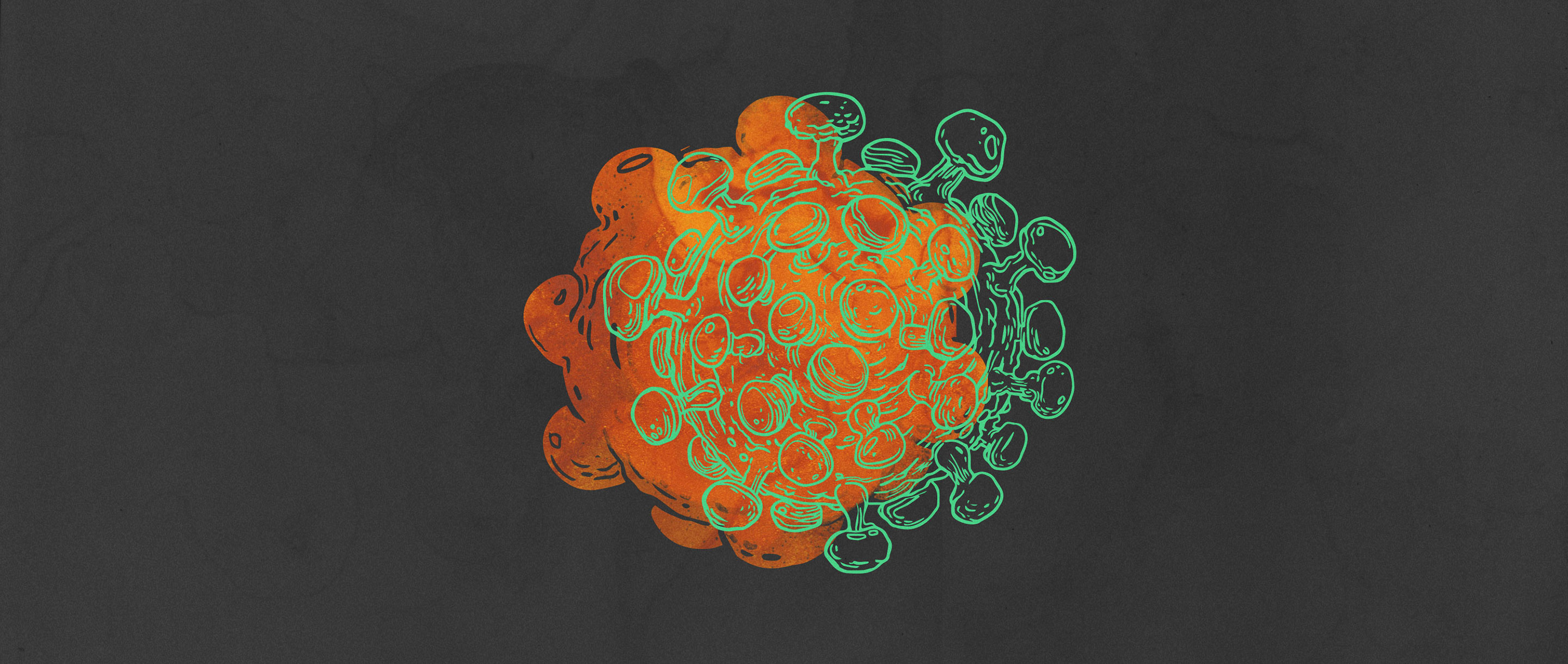 Lede art for "Viruses and Cell Vesicles: Different, but Two of a Kind"