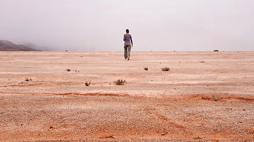 Panoramic view of Pan de Azúcar National Park in Chile’s Atacama Desert, showing fog, hills in the background and a solitary human figure in the distance at center. The desert floor is mottled.