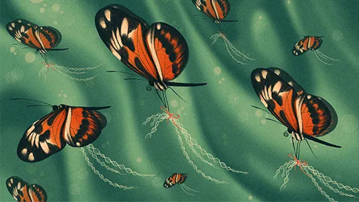 Illustration of butterflies with similar wing-color patterns holding bundles of DNA.